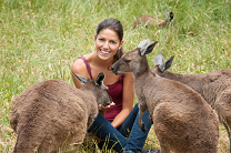 Backpacker Insurances